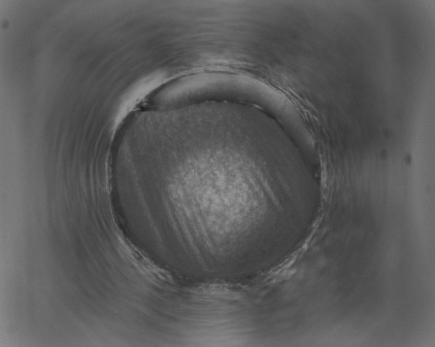 X0000067840244200604271627