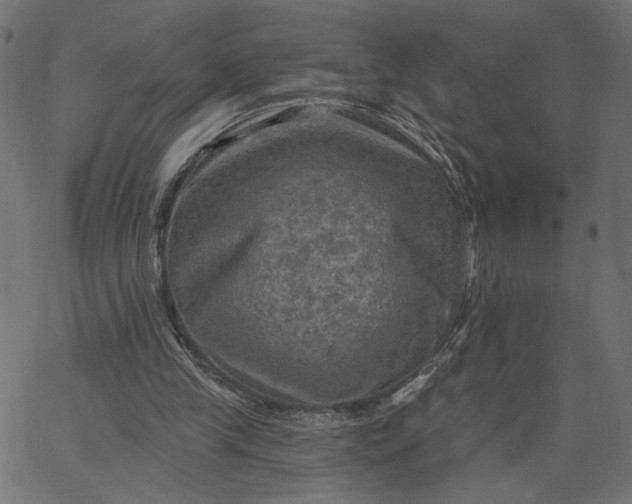 X0000067840245200604271627