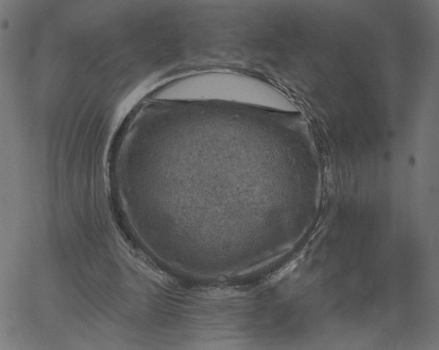 X0000067840246200604271627