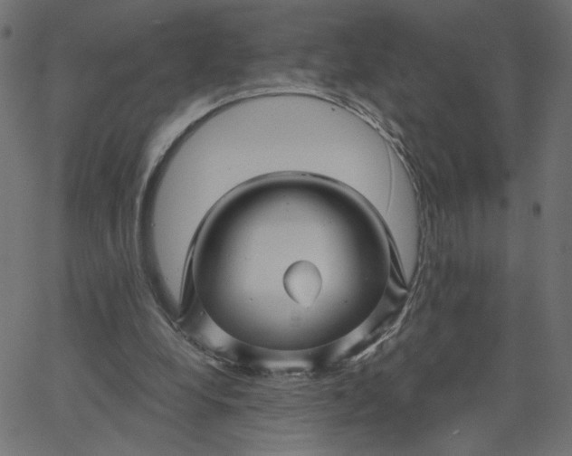 X0000067840248200604271627