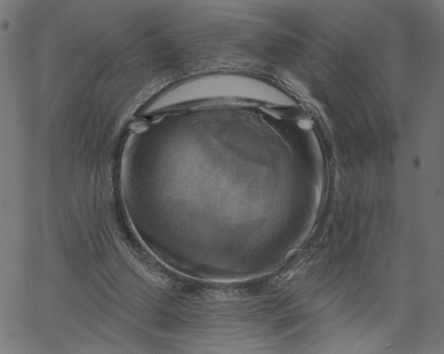 X0000067840250200604271627