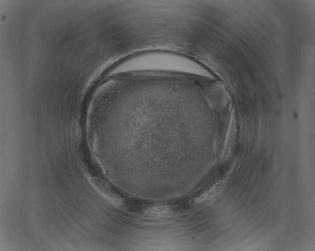 X0000067840252200604271627