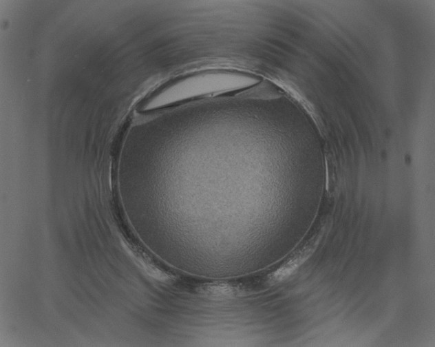 X0000067840253200604271627