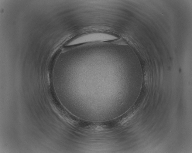 X0000067840254200604271627