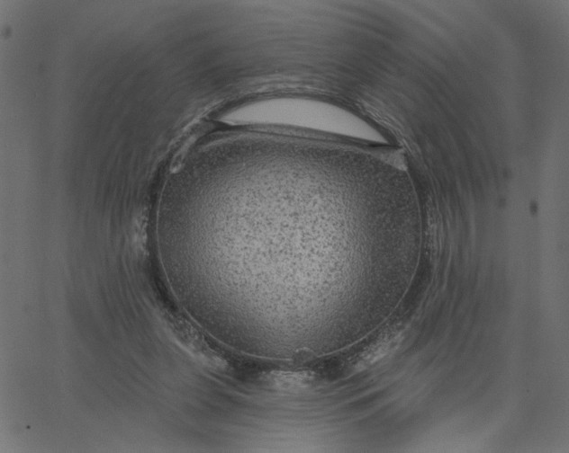 X0000067840255200604271627