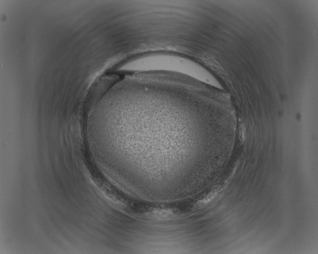 X0000067840256200604271627