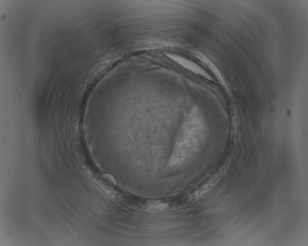 X0000067840257200604271627