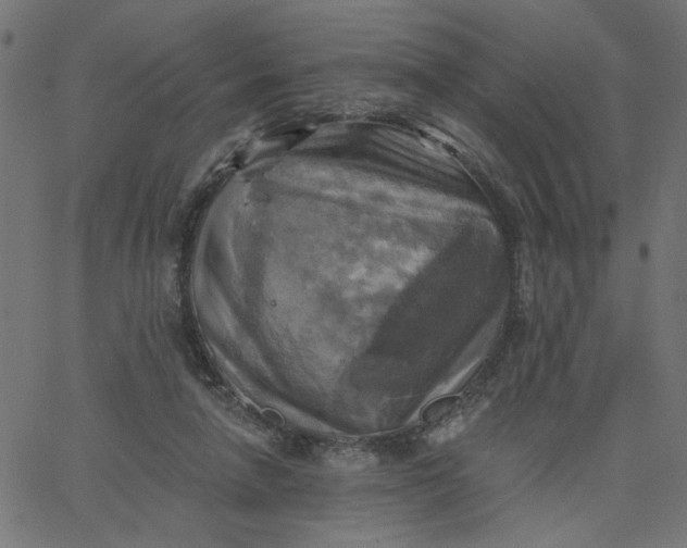 X0000067840258200604271627