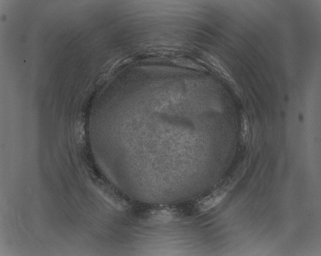 X0000067840259200604271627