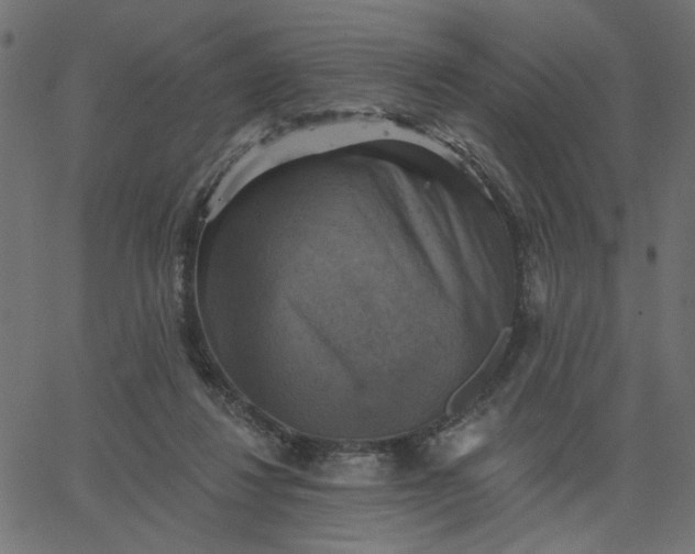 X0000067840260200604271627