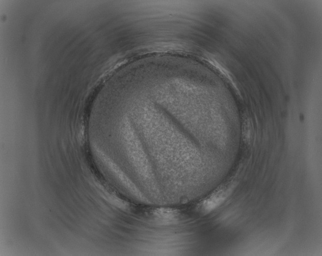 X0000067840261200604271627