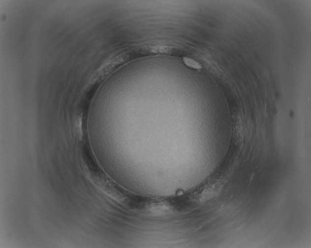 X0000067840262200604271627