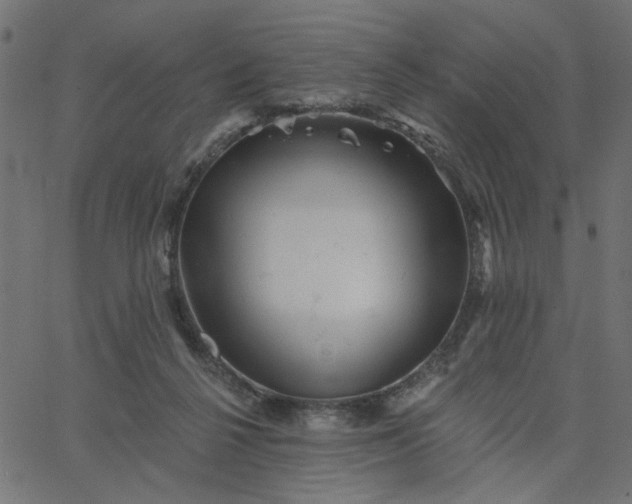 X0000067840264200604271627