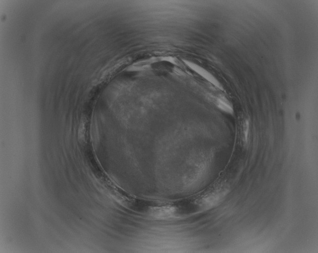 X0000067840266200604271627