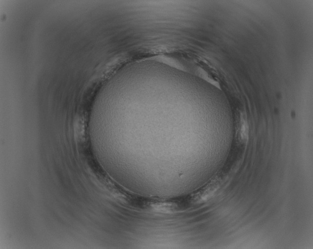 X0000067840268200604271627