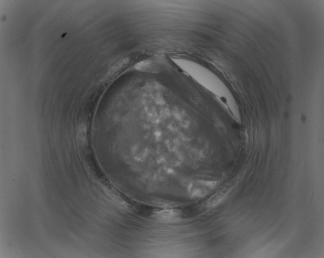 X0000067840269200604271627