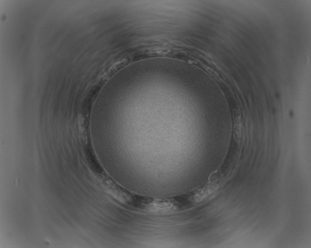 X0000067840270200604271627