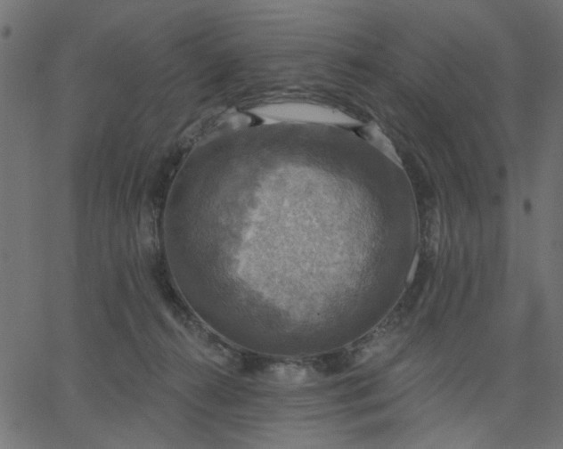 X0000067840272200604271627