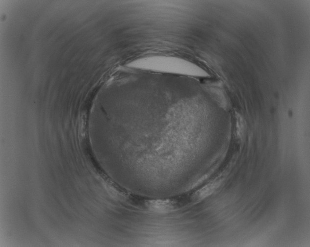 X0000067840273200604271627