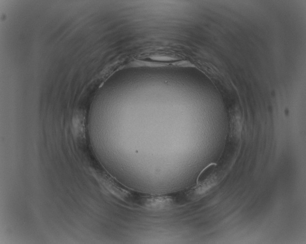 X0000067840274200604271627