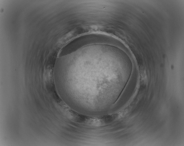 X0000067840276200604271627