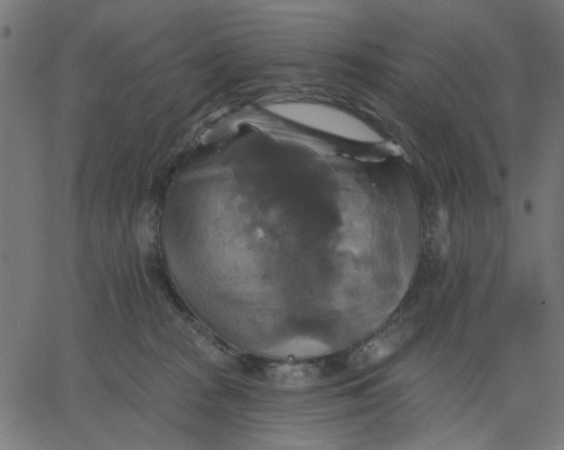 X0000067840277200604271627