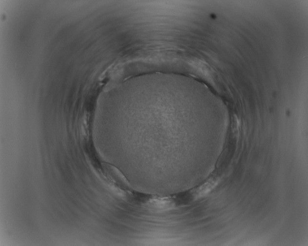 X0000067840280200604271627