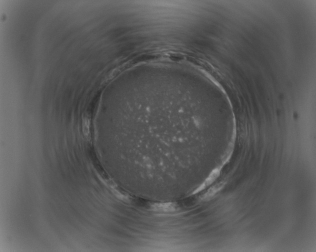 X0000067840281200604271627