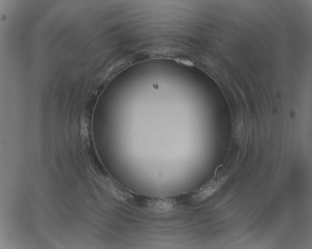 X0000067840282200604271627