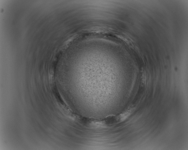 X0000067840283200604271627