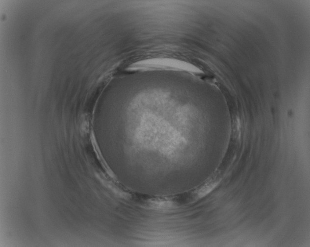 X0000067840284200604271627