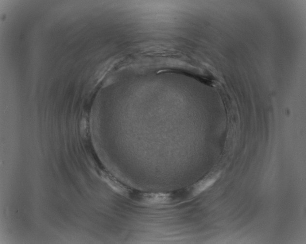 X0000067840288200604271627