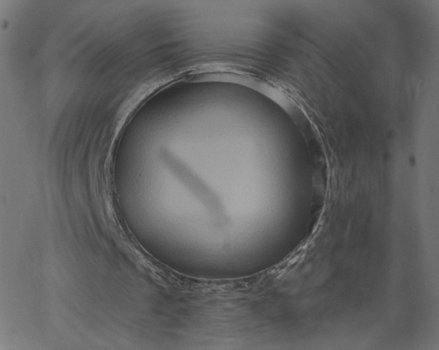 X0000067840289200604271627