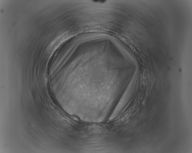 X0000067840290200604271627