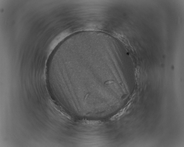 X0000067840292200604271626