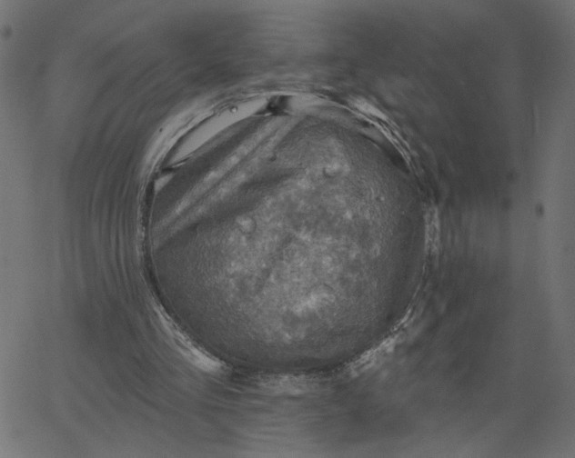 X0000067840293200604271626