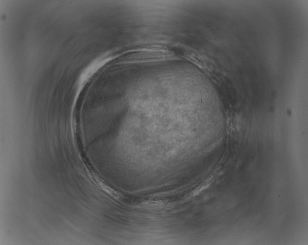 X0000067840294200604271626