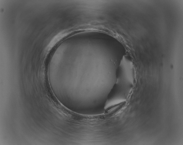 X0000067840295200604271626