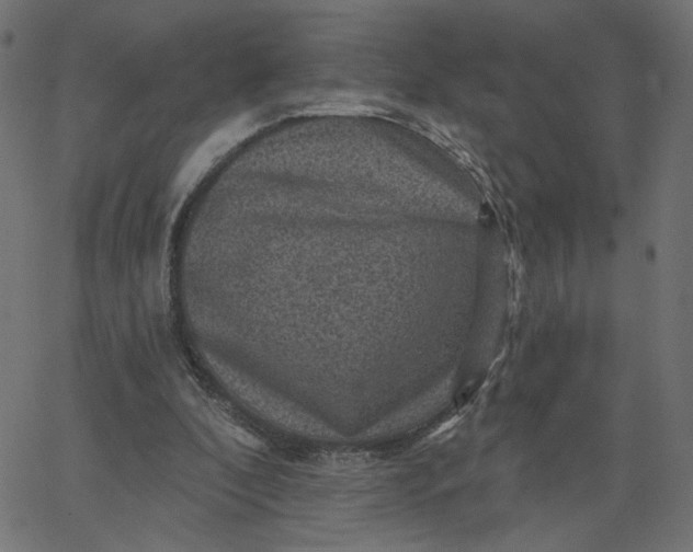 X0000067840296200604271626