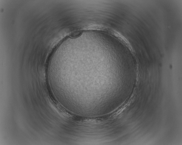 X0000067840298200604271626