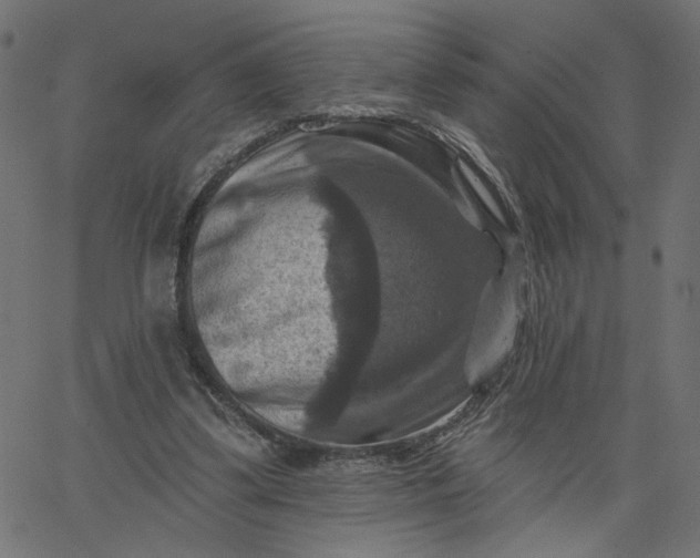 X0000067840299200604271626