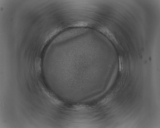 X0000067840300200604271626