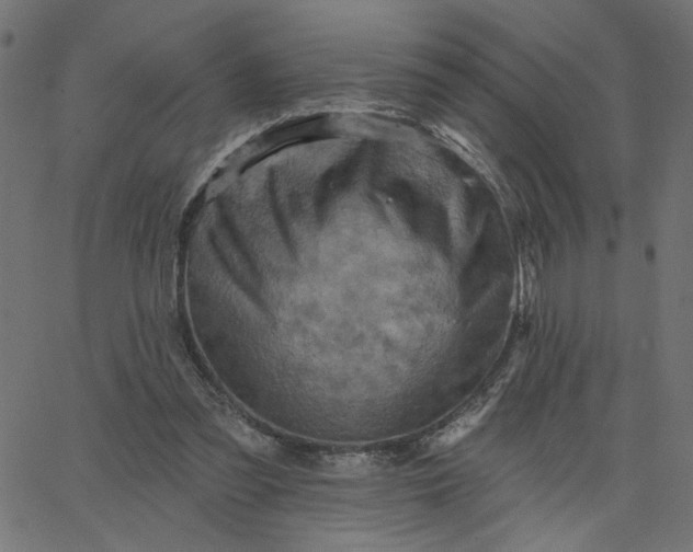 X0000067840301200604271626