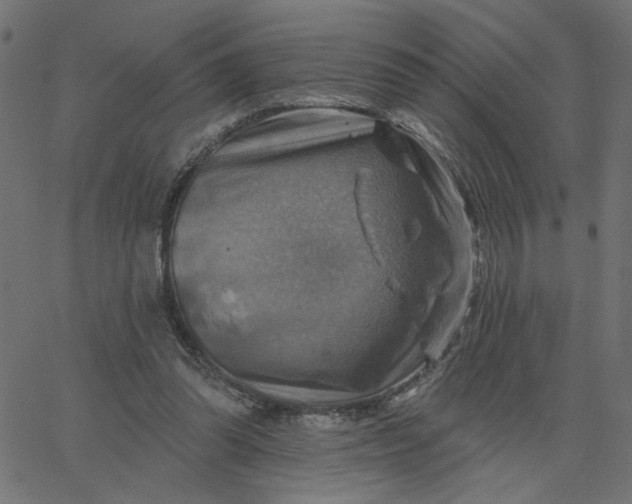 X0000067840302200604271626