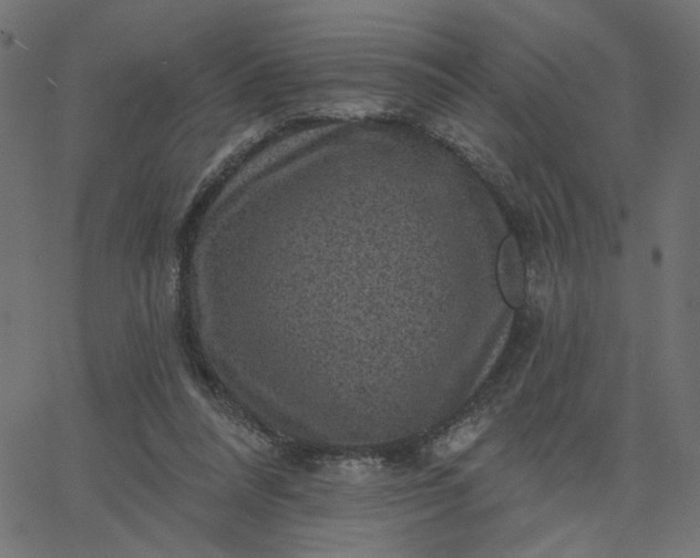 X0000067840304200604271626