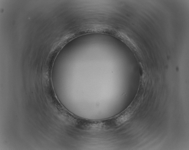 X0000067840306200604271626