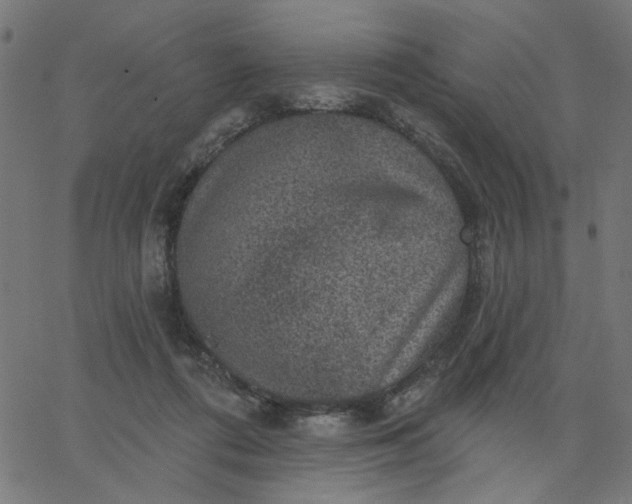 X0000067840312200604271626