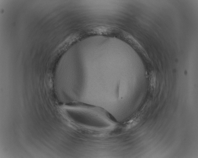 X0000067840313200604271626