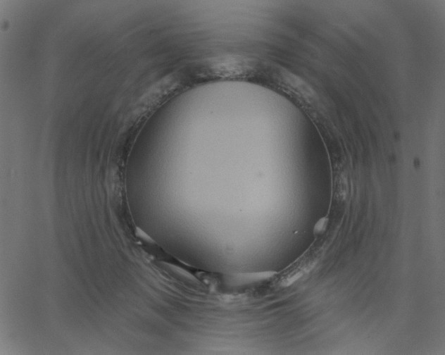 X0000067840317200604271626