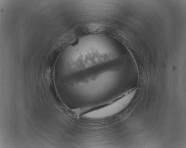 X0000067840319200604271626